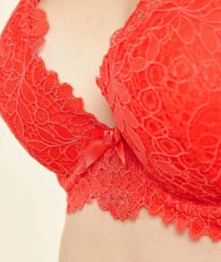 Soutien-gorge N.2 - Le Push-up Plongeant -Boutique De Mode Luxe 650562362 b